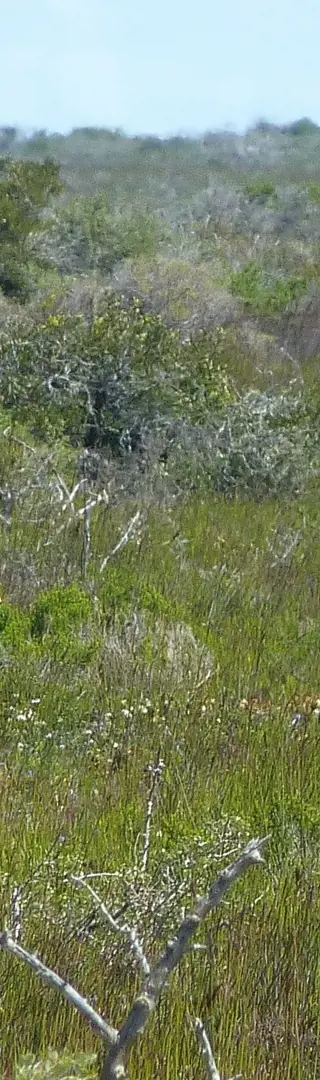 Bekanntschaft mit Wildtieren